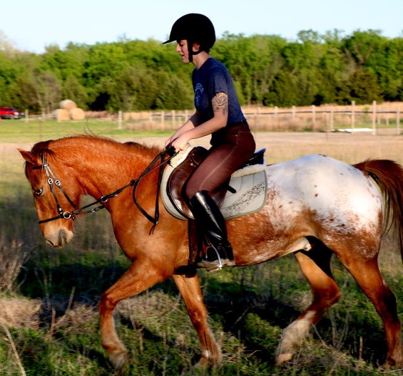 How to Stop a Horse From Grazing While Riding