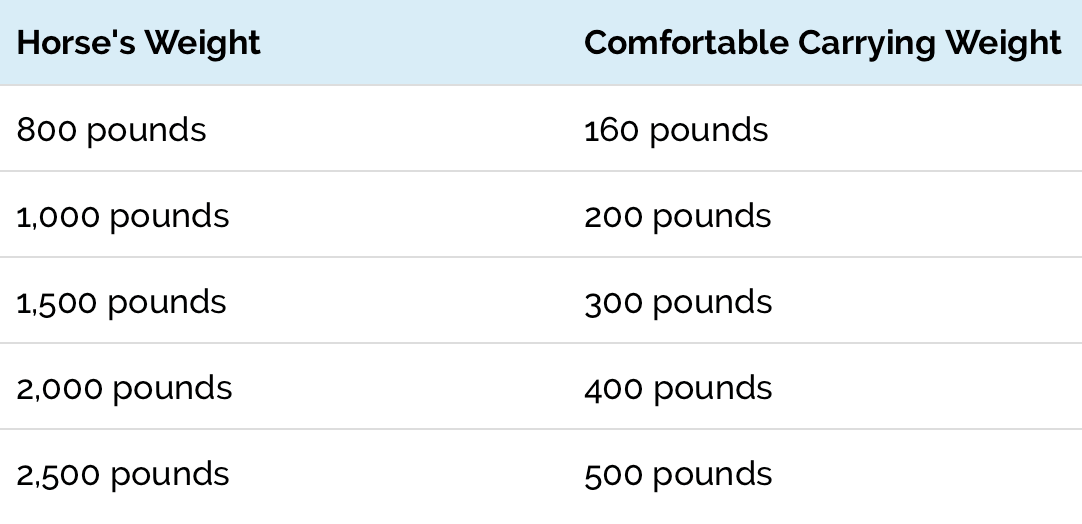 What Horse Breed Can Carry the Most Weight?