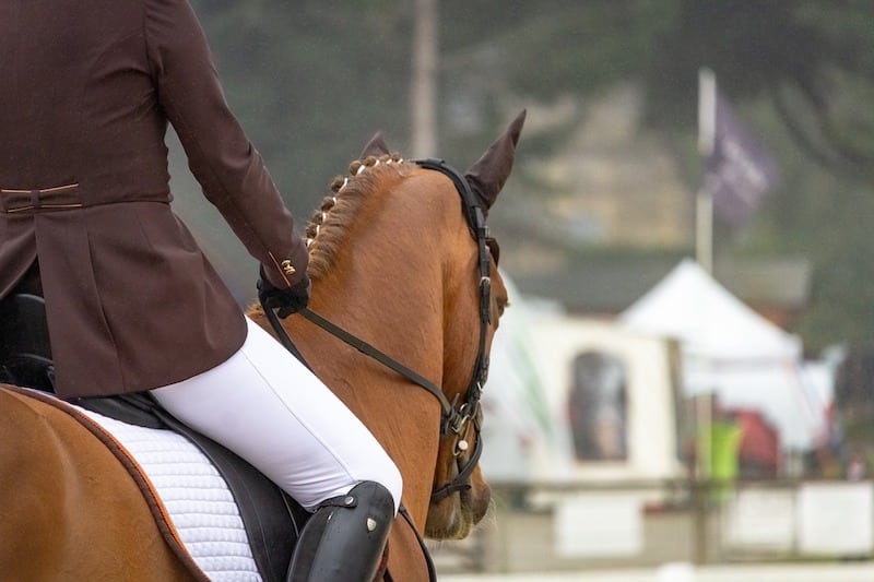What Pants to Wear Horseback Riding