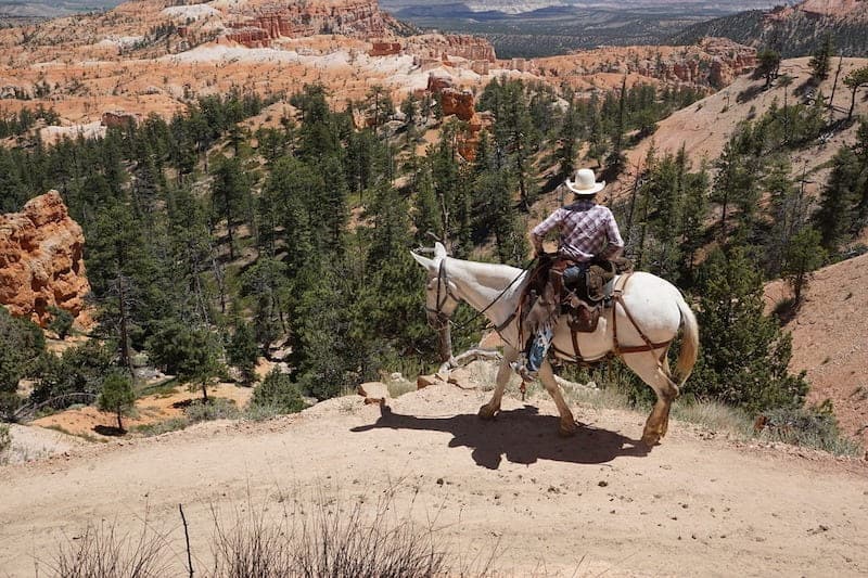Top Horseback Riding Vacations in the US