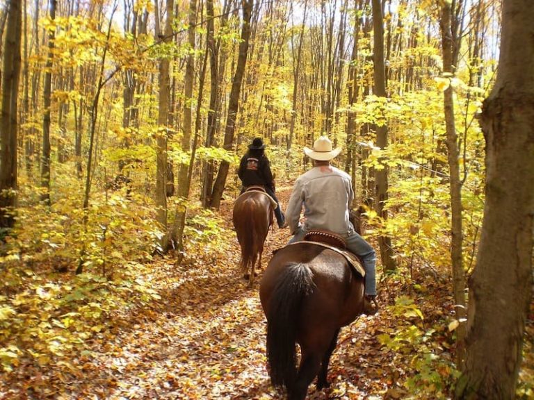Top Horseback Riding Vacations in the US