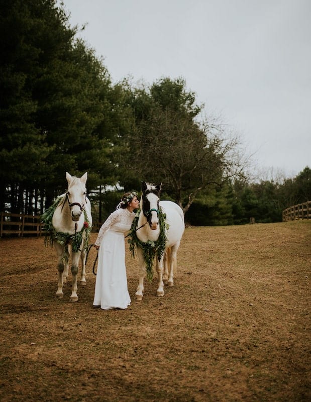 Horse Wedding: Ideas, Decorations, Pictures