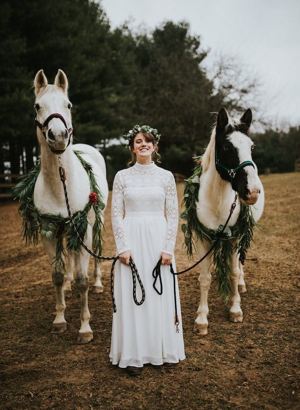 Horse Wedding: Ideas, Decorations, Pictures