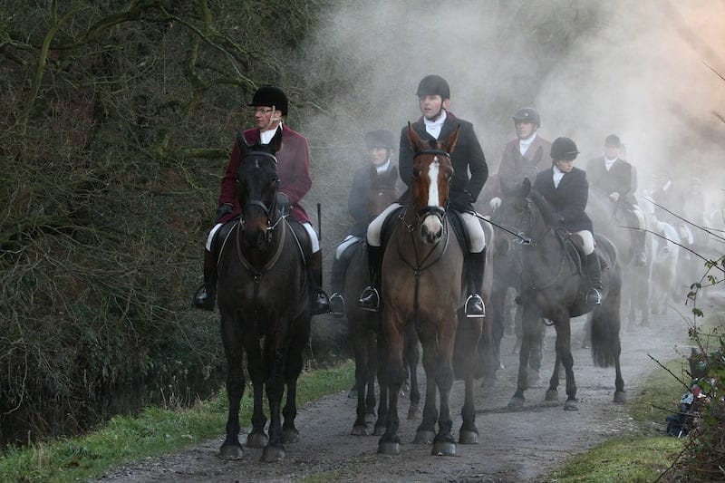 Fox Hunting for Beginners Dress Code, Terminology, Gear