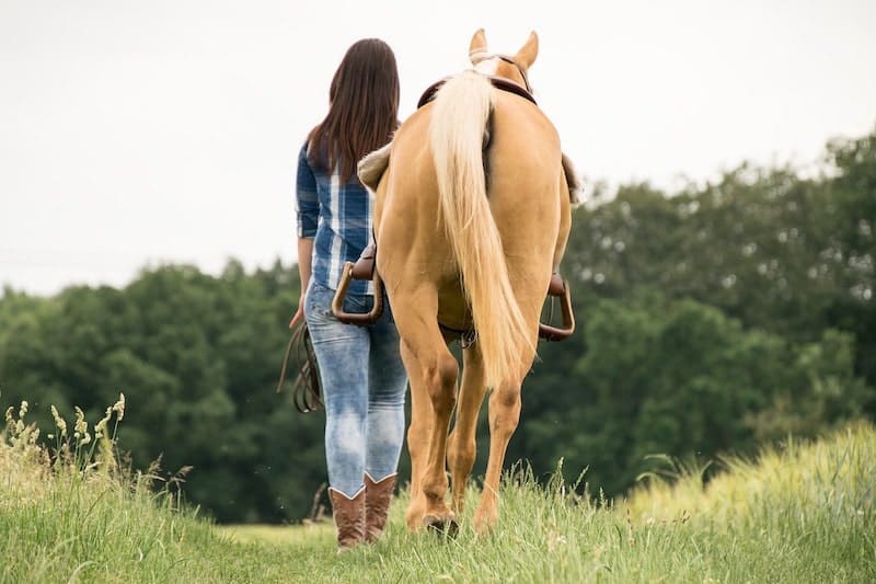 35 Fun Things To Do With Your Horse (Other Than Riding)
