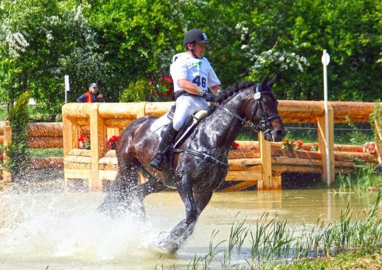 Getting a Horse Used to Water Beginner’s Guide