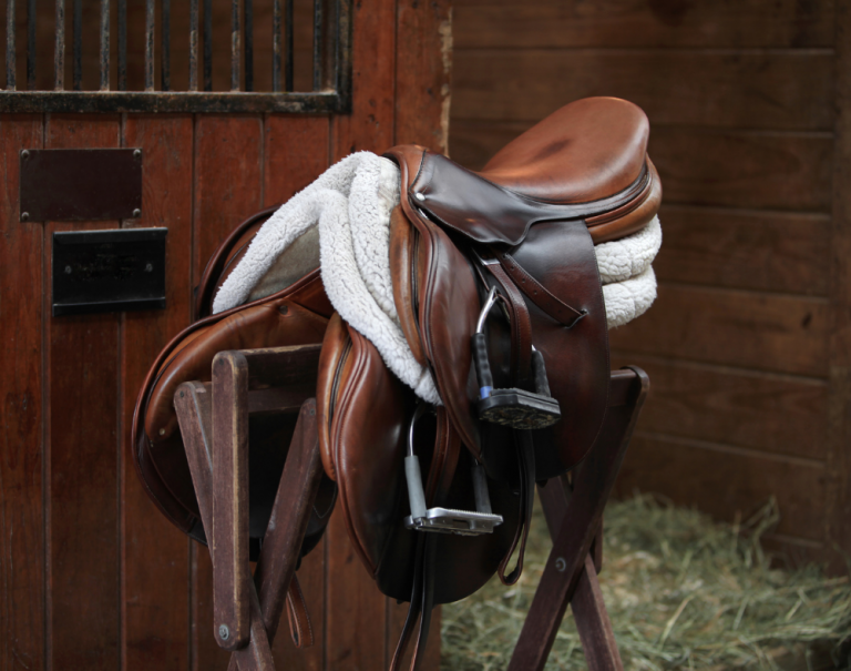 Measuring a Horse Saddle Everything You Need to Know