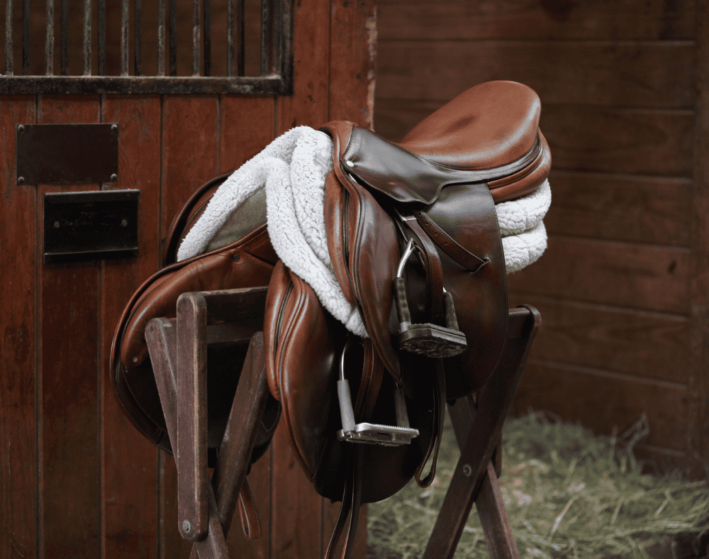 How To Measure For A Dressage Saddle Zenaida Oldham