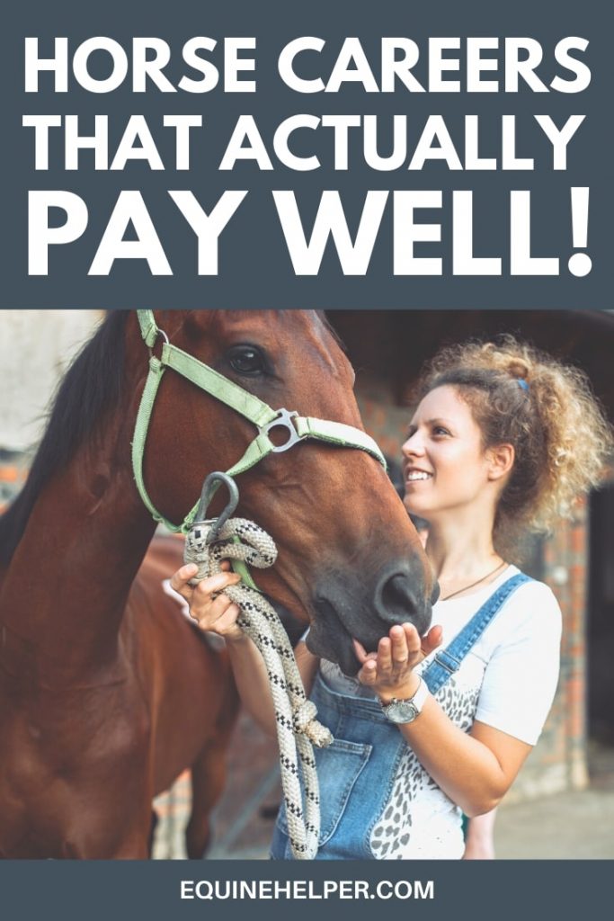 Top Horse Careers (That Actually Pay Well)
