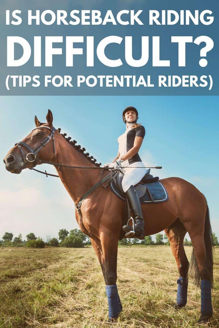 Is Horseback Riding Difficult?