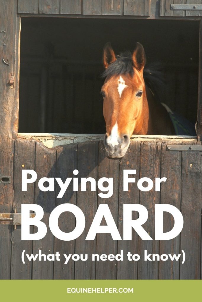 Boarding A Horse How Much It Costs Boarding A Horse How Much It Costs