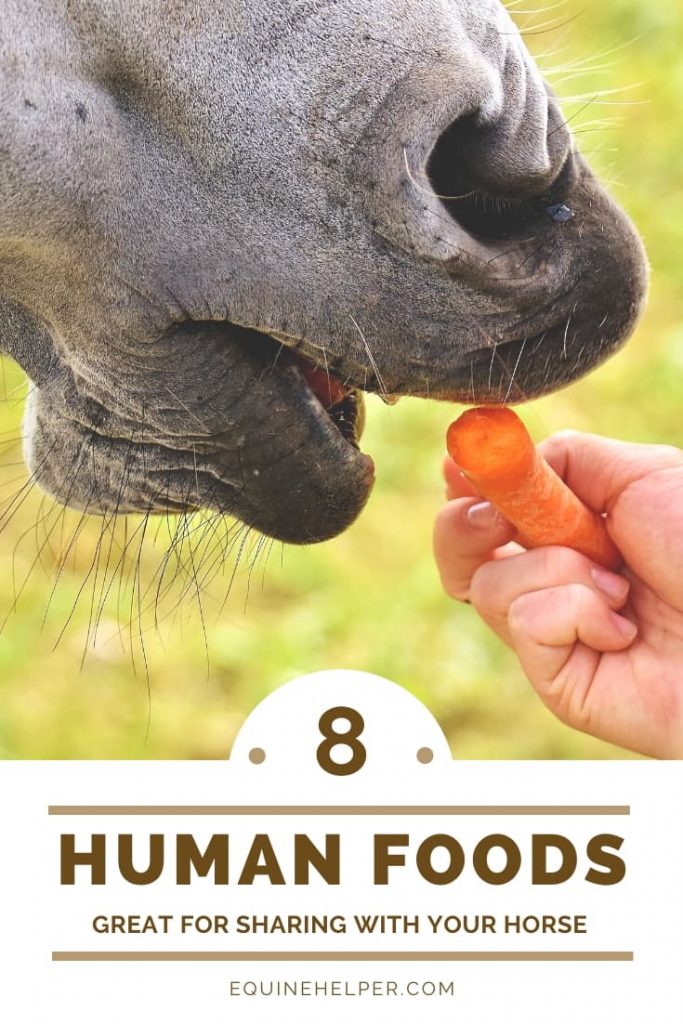8 Human Foods Great For Sharing With Your Horse