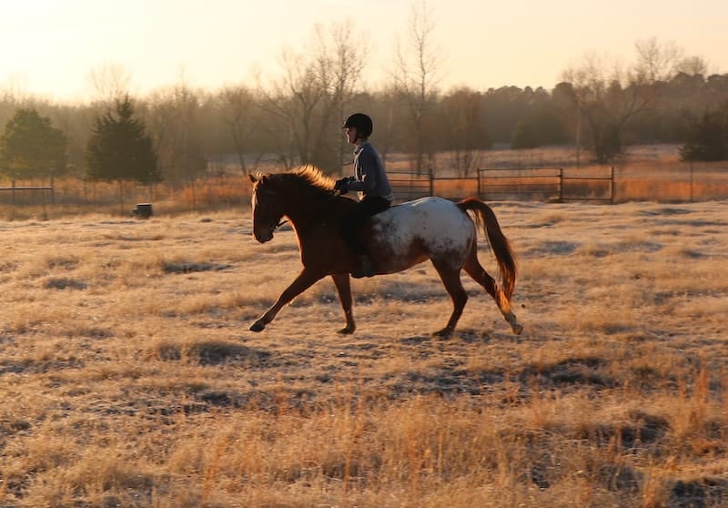 How to Ride a Horse Without a Saddle Complete Guide