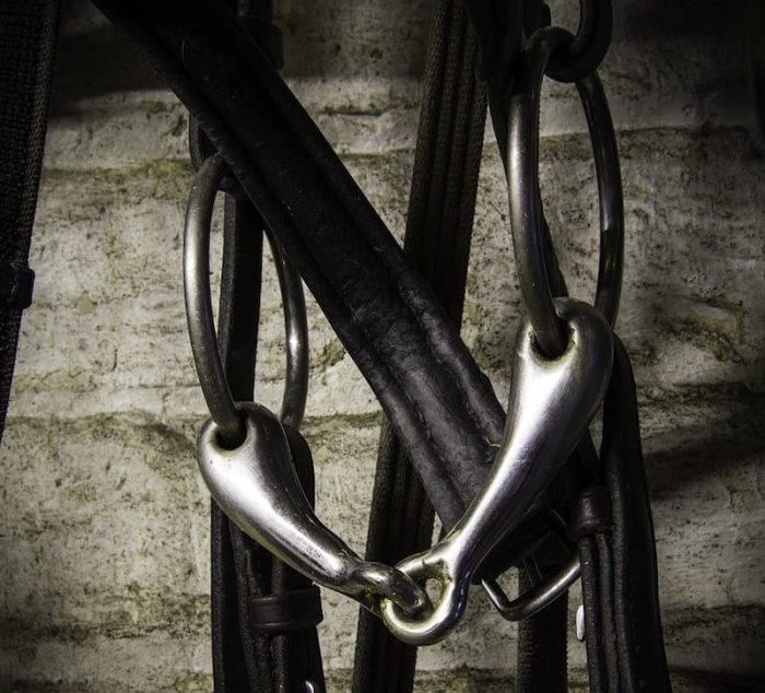 Horses That Won't Take the Bit Easy Solution