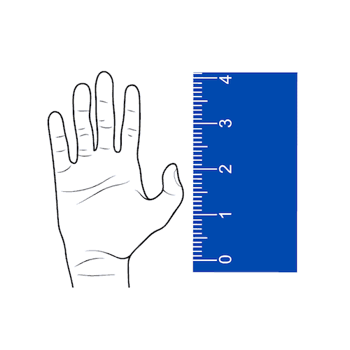 How to Measure a Horse's Height (StepByStep With Pictures)