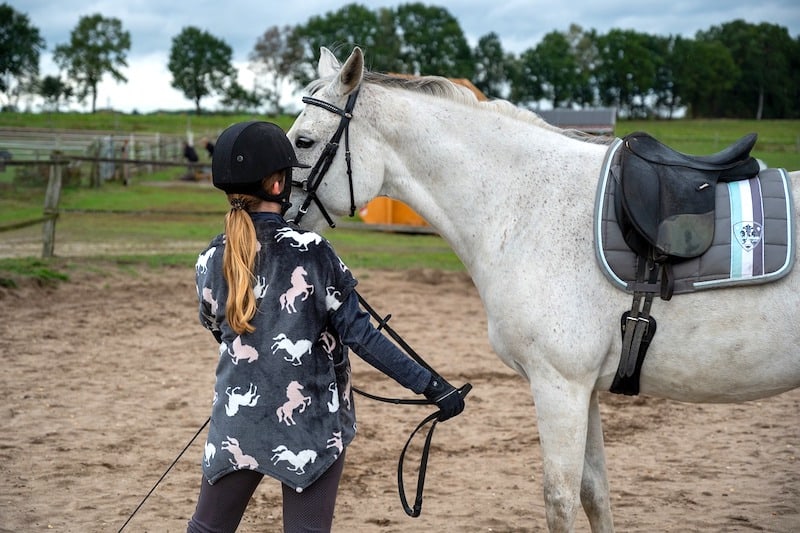 Do Horses Remember Their Owners? Complete Guide