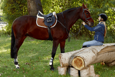 Proper Riding Attire Lesson What to Wear to Horse Riding Lessons: Complete Shopping List