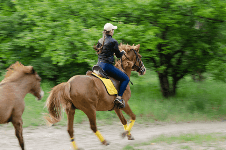 Horses That Won’t Stop When Riding What You Need to Know