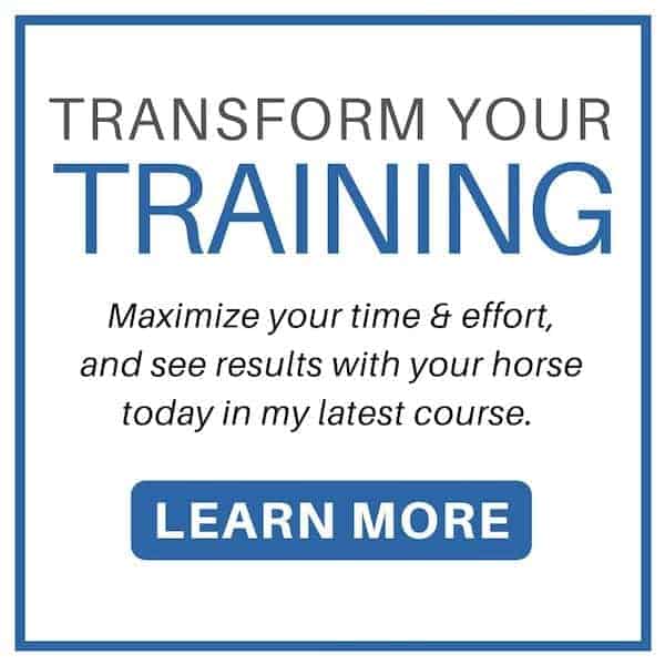 Horse Transportation Cost Everything You Need to Know