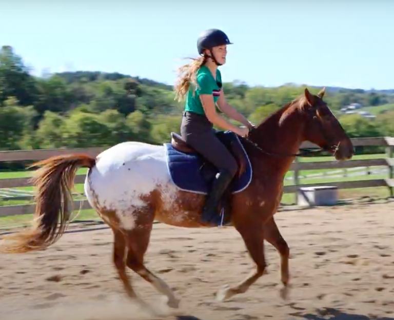 How to Ride the Canter (StepByStep Guide)