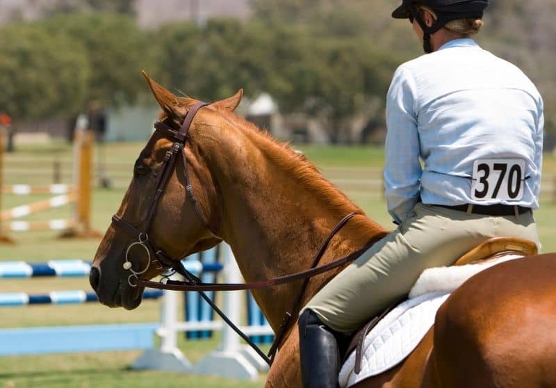 Summer Horseback Riding Attire What To Wear In Hot Weather
