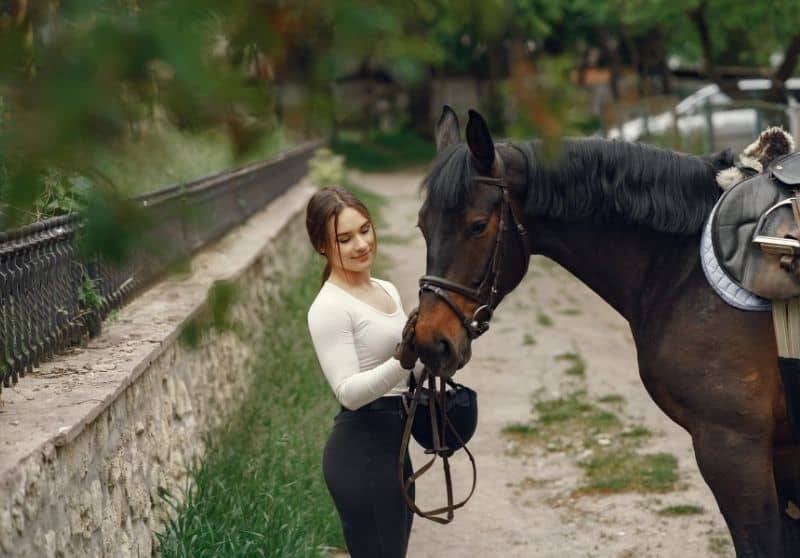 Basic Horse Knowledge Every Equestrian Should Know