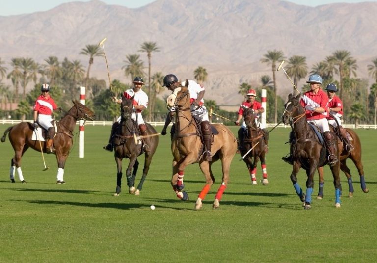 Types of Horse Riding: 15 Popular Horseback Riding Styles