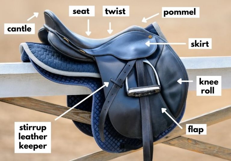 Parts Of A Saddle (English And Western With Pictures)