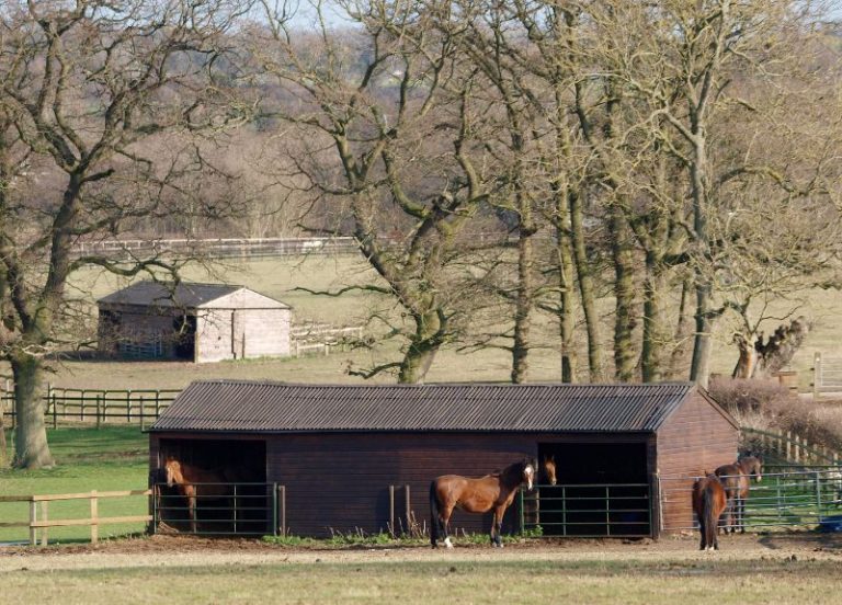 Horse Farm Names 100 Best Horse Farm Name Ideas