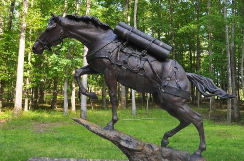 Horses In History: 15 Most Famous Horses