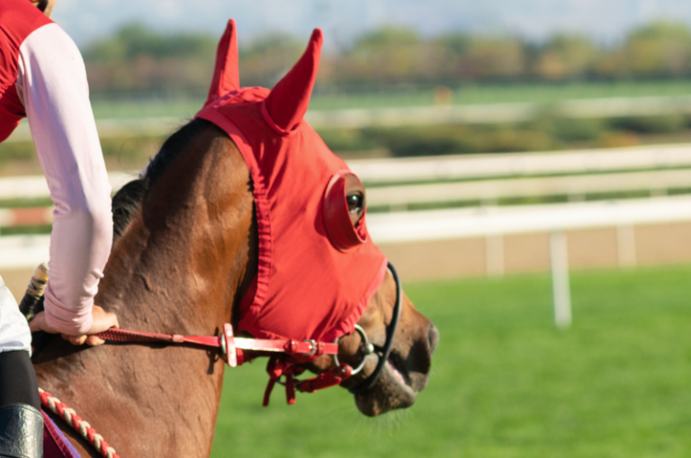 Why Do Horses Wear Blinders? Top Reasons Explained