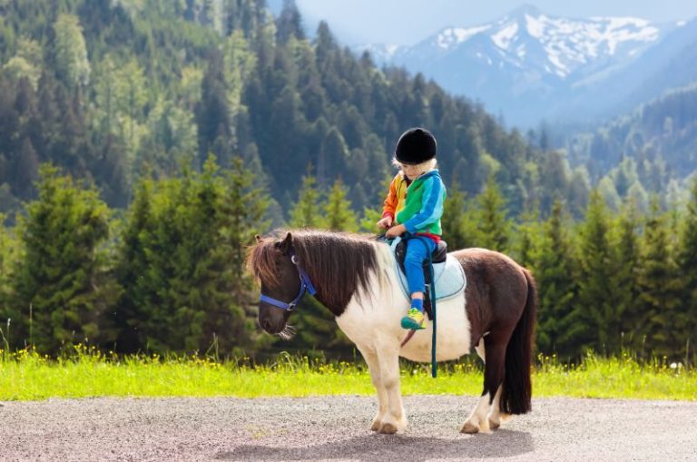 How Much Does A Pony Cost? 2024 Pricing Guide