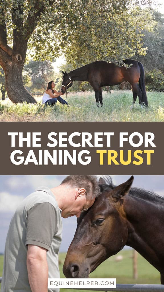 Illustration of Creating An Irs Recognized Trust